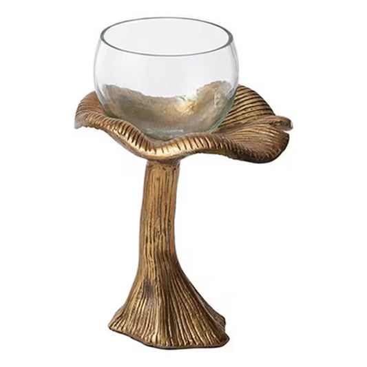 Mushroom terranium