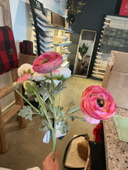 Ranunculus