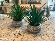 Faux Succulent