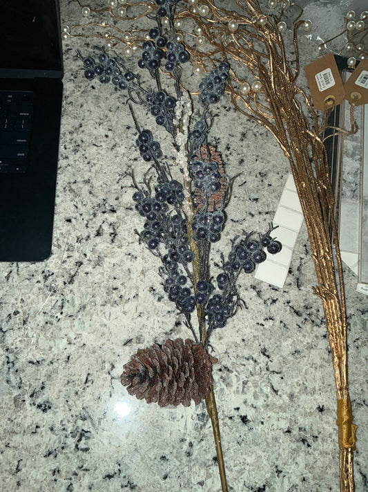 Blueberry pinecone stem