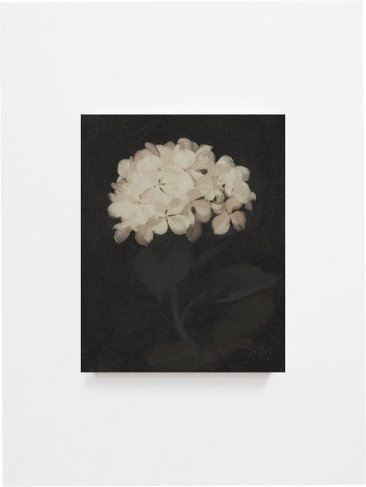 Hydrangea Vintage Art Print