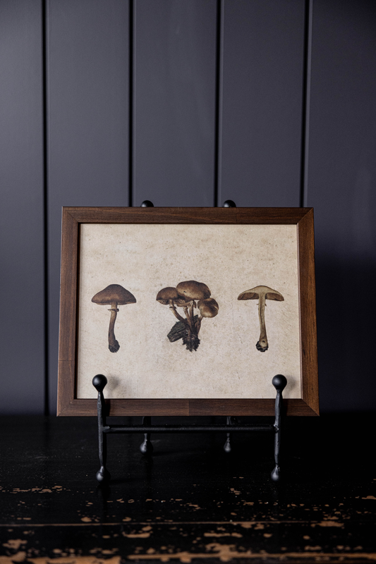 Button Mushrooms Hazelnut Framed Art